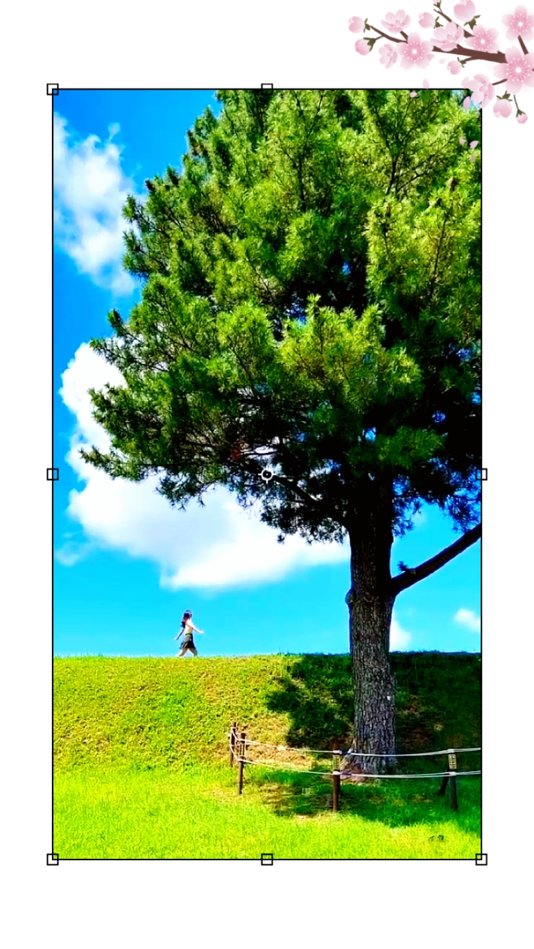 ValentineAlone Ed.47