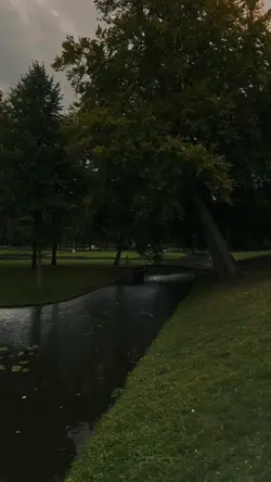 วิดีโอ| โทนฟิล์ม