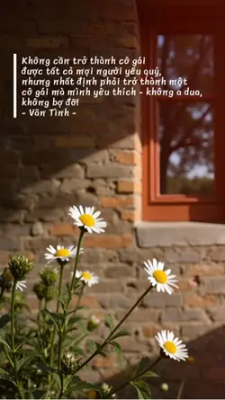 Câu văn hay