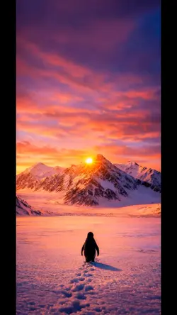 Wallpape
