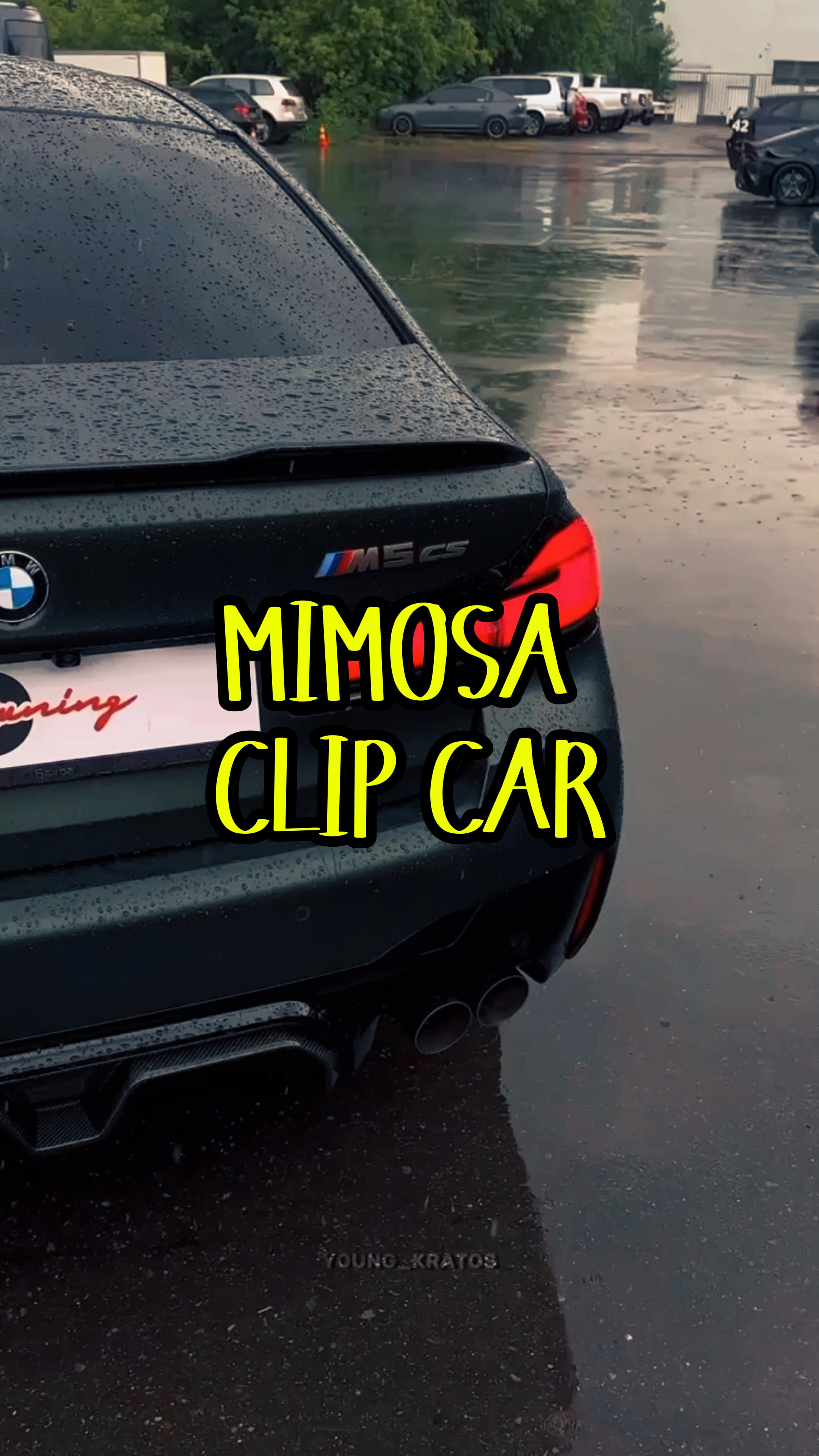Mimosa clip voiture
