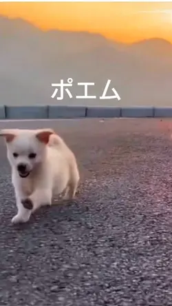 #頑張ってる人へ#ポエム