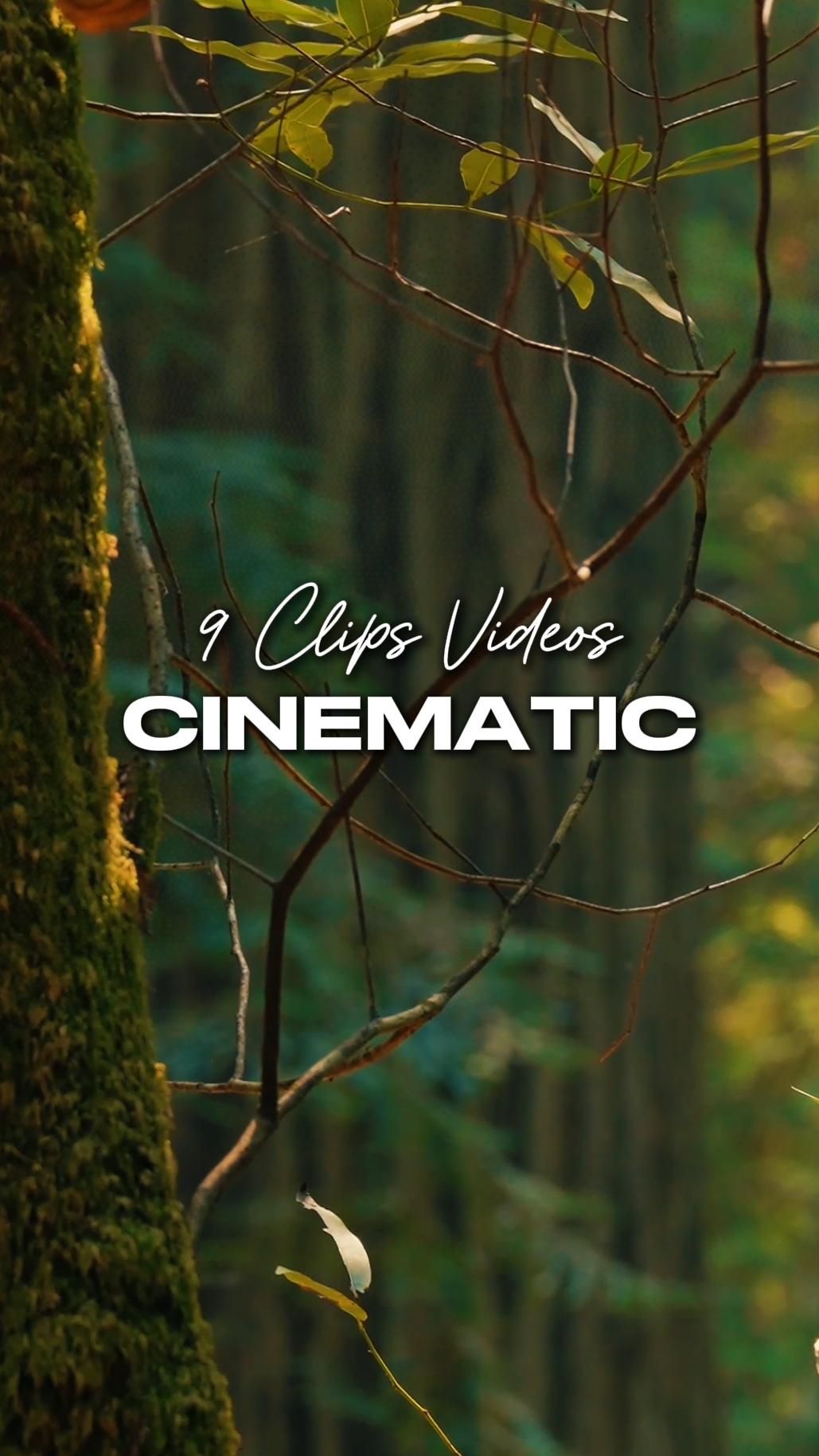 9 Video Sinematik