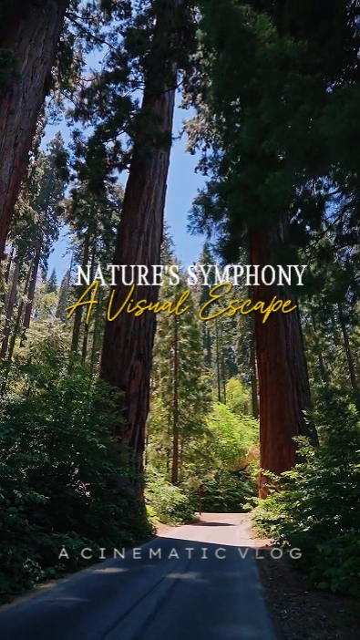 nature cinematic