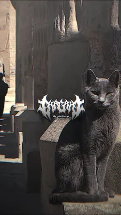 กำลังฮิต 2รูป