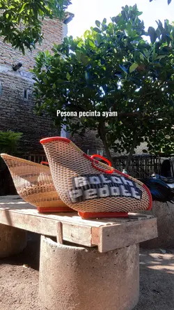 PESONA PECINTA AYAM