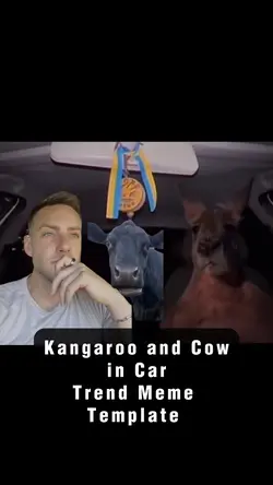 Kangaroo and Cow