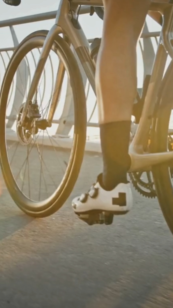 164. Bike Sport