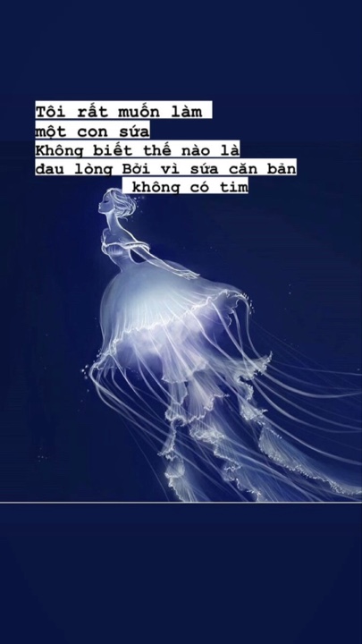 1 ảnh nhẹ nhàng