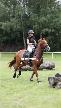 First proper templat