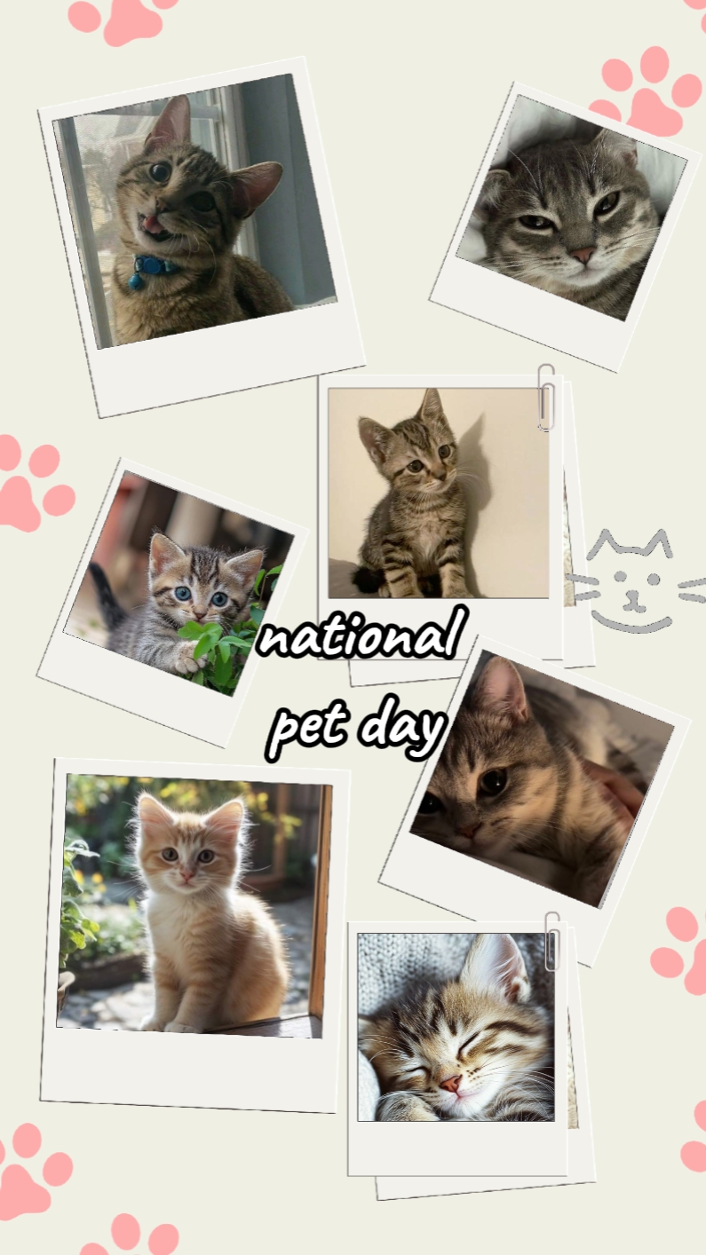 Dia nacional do animal de estimação