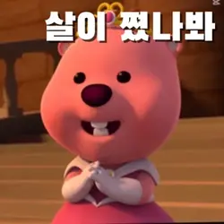 살이쩠나봐