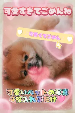 可愛くてごめん　写真4枚