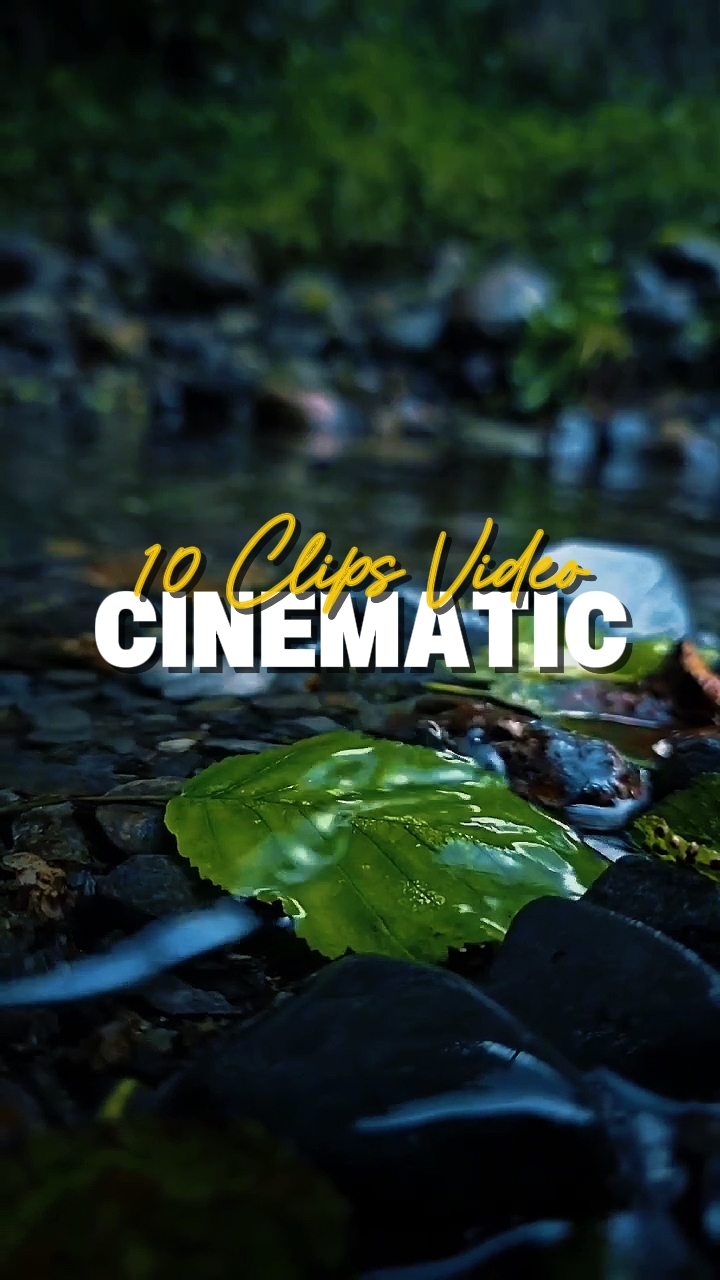 10 Clips de Video 