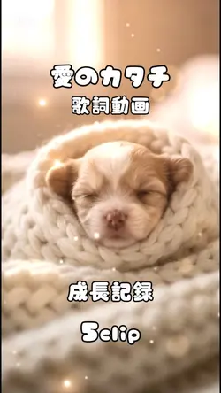 愛のカタチ♡成長記録