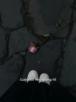 HÀNH TRÌNH TAN VỠ 🎶