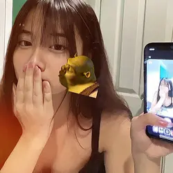 can move shrek