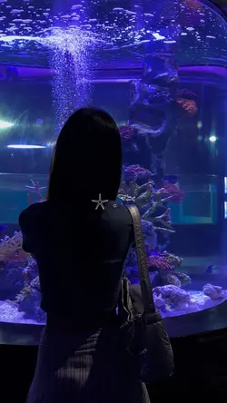 Aquarium 𓇼