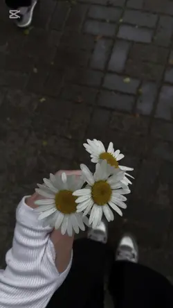 New
