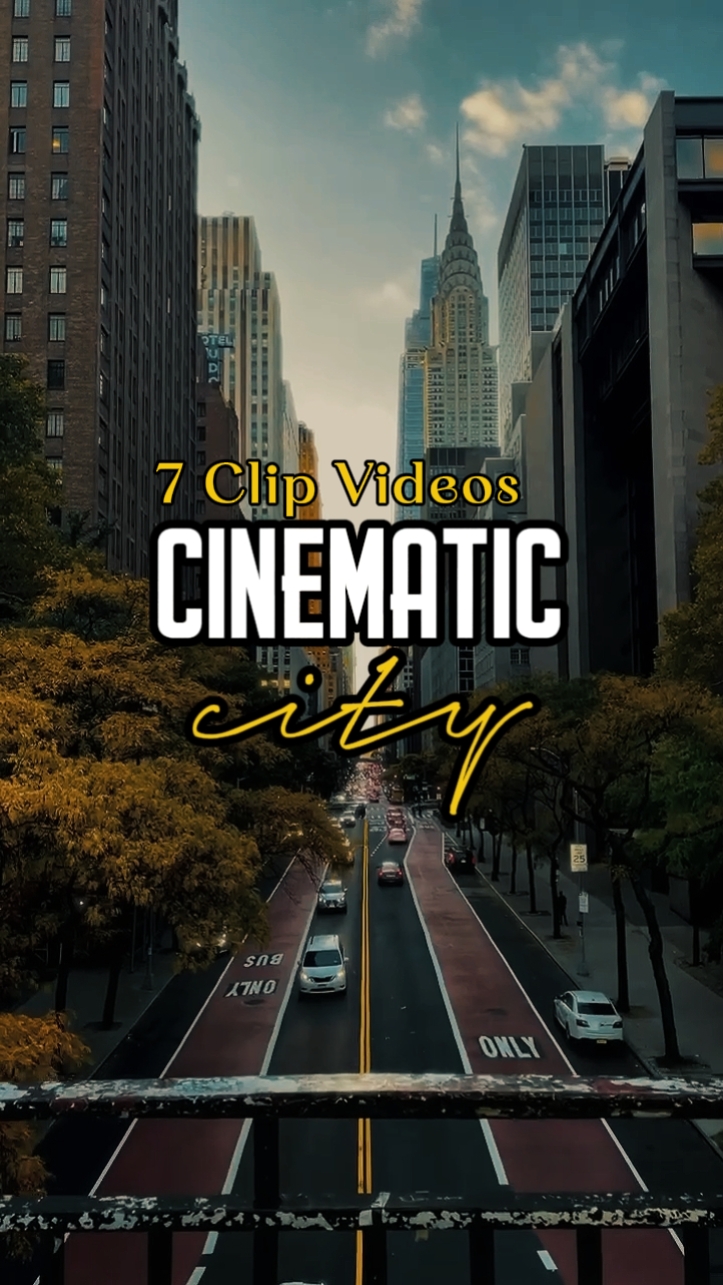CINEMATIC CITY 13