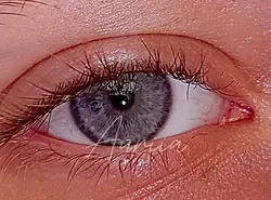 Lips2Eye Transition!