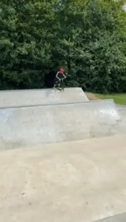 Tailwhip
