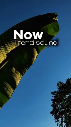 Viral musik