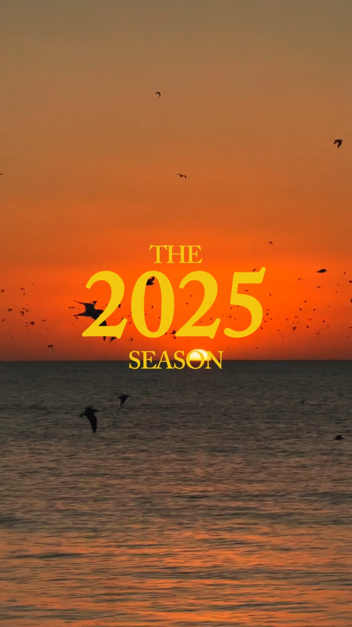 2025 season recap