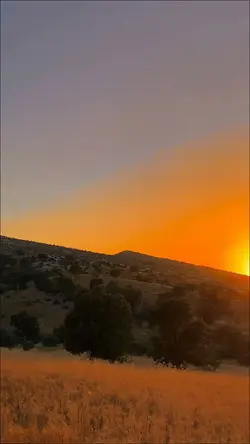 Seni sevmek