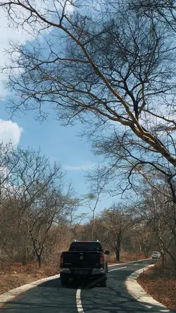 Video Estetik