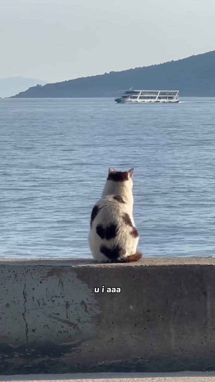 kamu aku aaa