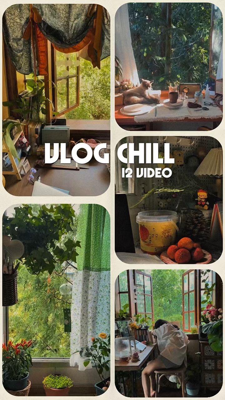 Vlog chill 12 비디오