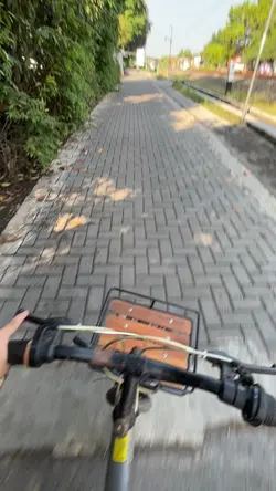 Olahraga pagi 
