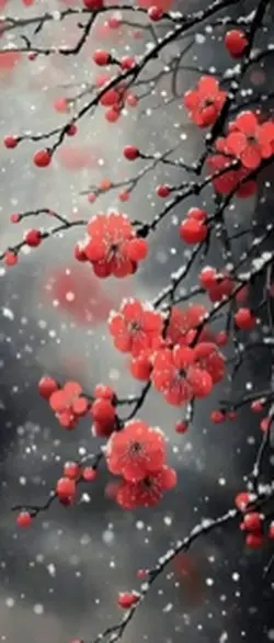 3D Wallpaper