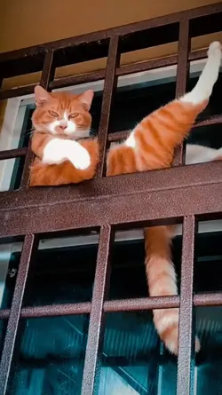 lagi santai kawan