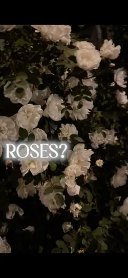White Roses