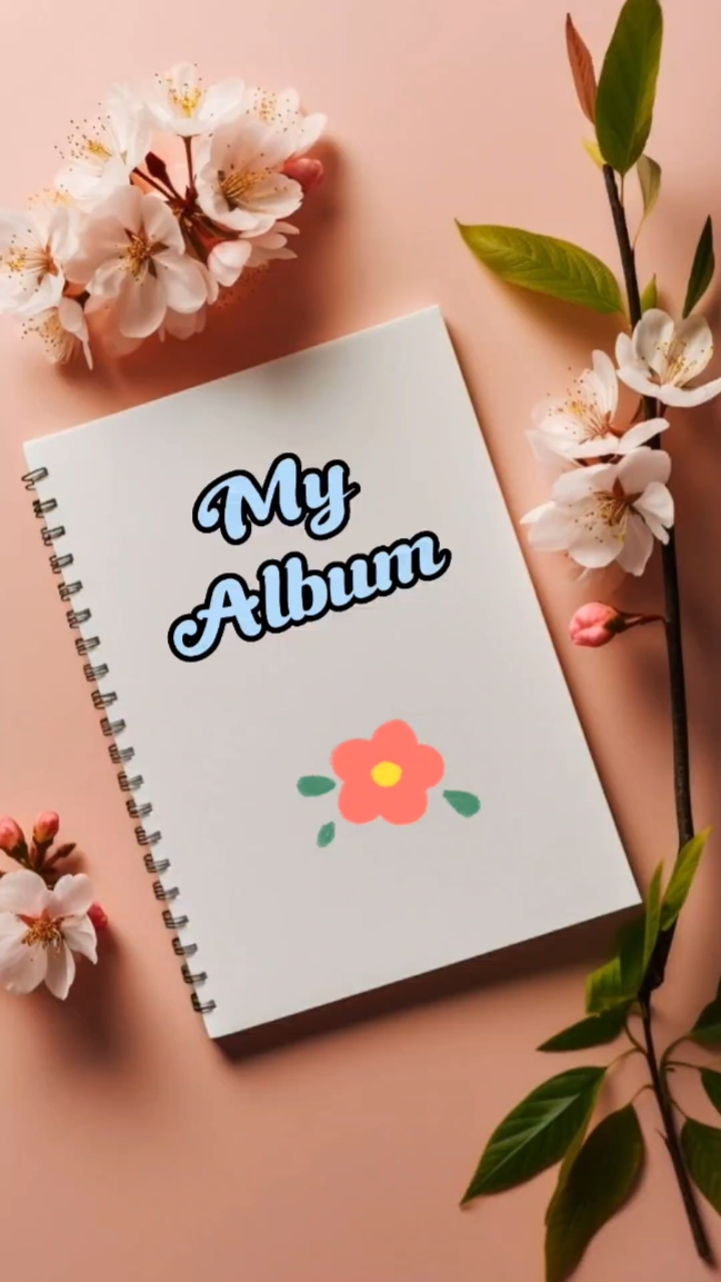 My Album