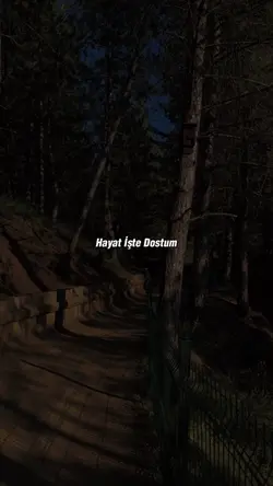 Hayat İşte