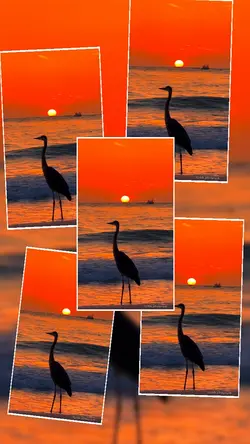 Sunset vibes