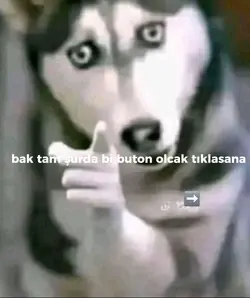 tikla sem