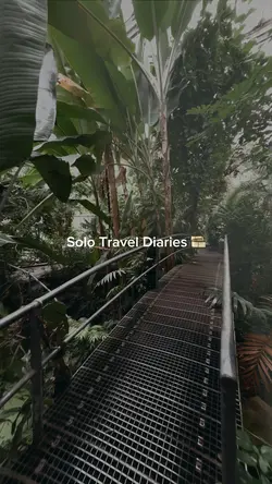 Travel Memories 🎞️