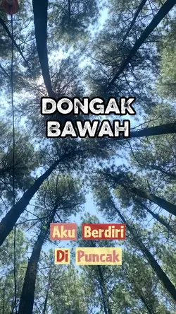 Dongak Bawah