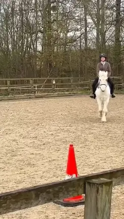 slo mo