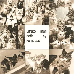 Old photo vintage