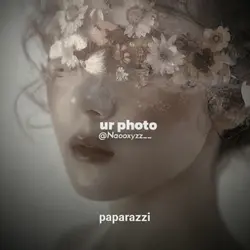 #Papa-papparazzi