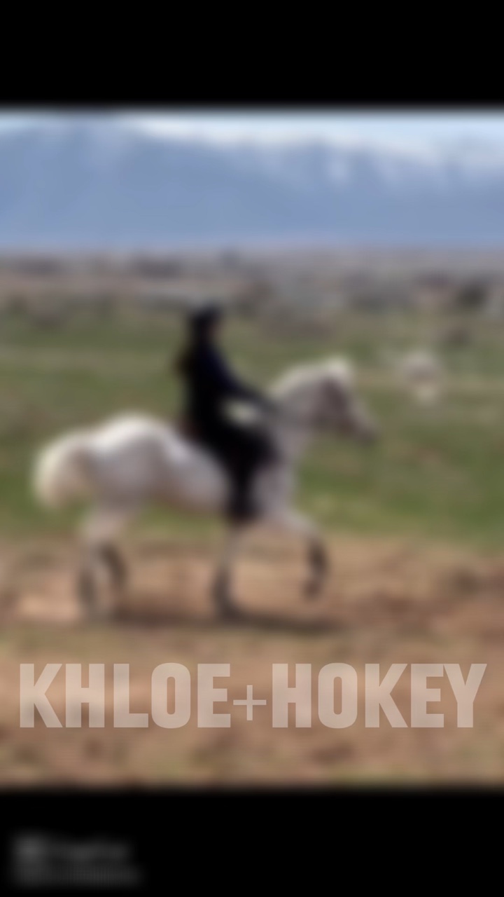 EDIT FOR HRSGRLPWR