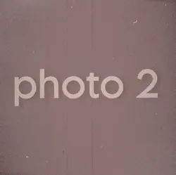 Gimme more slayyyter