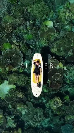 Summer vibes