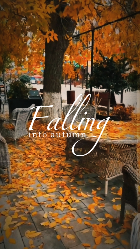 Falling Into Autumn