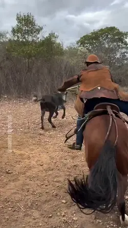 Estilo é esse 🌵